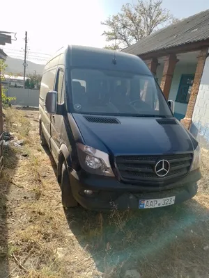 Mercedes-Benz Sprinter (2G) 2.2 дизельный 2009 | Дельфин на DRIVE2