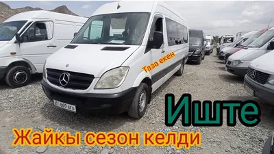 Mercedes Дельфин Автотуризм