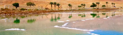 Израиль. Мертвое море - «Мертвое море входит в десятку мест, которые нужно  посетить, пока они не исчезли. Одно из самых необычных морей с красивой  природой и уникальным составом воды. + фото» | отзывы