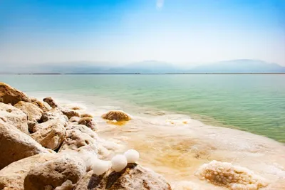 Соляные Камни Мертвое Море - Бесплатное фото на Pixabay - Pixabay