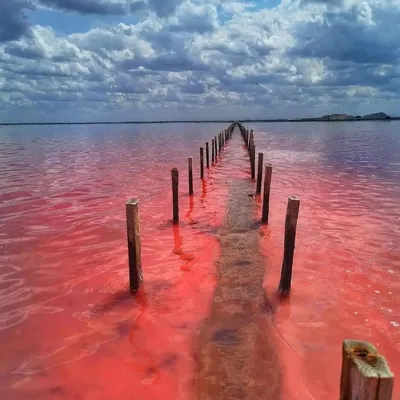 Мертвое море-Dead Sea-ים המלח | David Solodar | Flickr