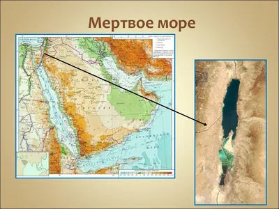 Где отдохнуть на Мертвом Море? Курорты, отели, гостевые дома,  оздоровительные центры