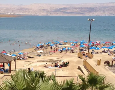 Отдых на Мертвом море (Иордания). Все что нужно знать о Мертвом море  (Иордания):погода, карта, достопримечательности, отели
