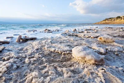 Мертвое море: снимок с газетой...