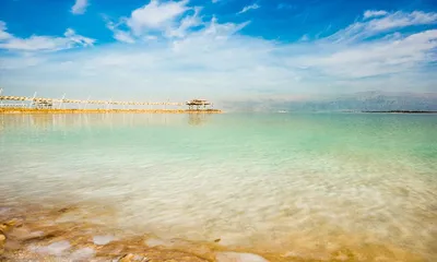 обои : Мертвое море, Израиль, природа, Деревьями 5120x2880 - Pc7 - 1922811  - красивые картинки - WallHere
