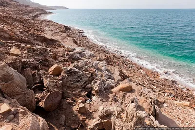 За здоровьем на Мёртвое море: Иордания – Туркомпания «Палм-Тур»