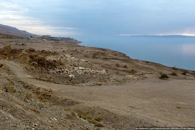 Мертвое море иордания фото фото
