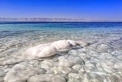 Мертвое море живет! (Nautilus, США) | 28.01.2022, ИноСМИ