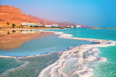 Всё об отдыхе на Мертвом море в Израиле: что посмотреть, куда сходить, как  добраться.