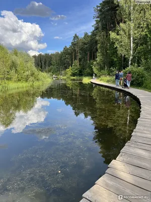 Фотографии Мещерского парка с дрона | Солнцево на Раёнзе