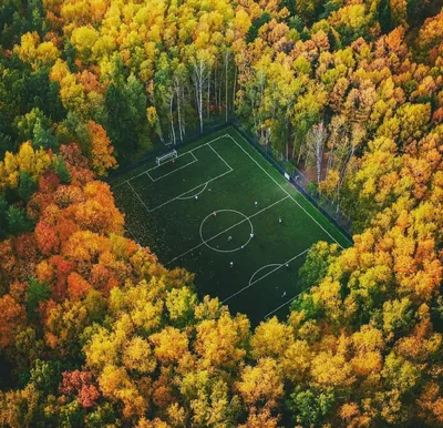 Бетонный скейт парк ЖК Мещерский Лес в Москве - FK-ramps