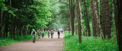 Панда Парк» в Мещерском парке, Москва. Официальный сайт, цены 2024, отзывы,  фото, видео — Туристер.Ру