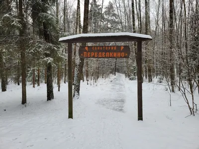 Зона отдыха \"Мещерский пруд\" - MoscoWalk.ru - Прогулки по Москве