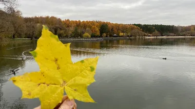 Парк Мещерский. Часть вторая