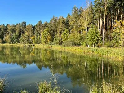 Парк «Мещерский»