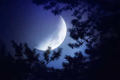 Голубая Суперлуна, второе полнолуние месяца, озарит небо в этот четверг. -  Sortiraparis.com
