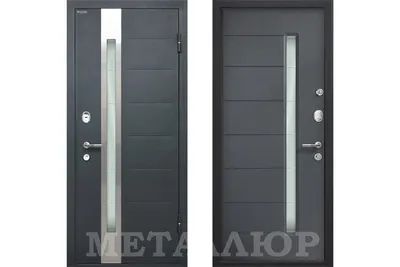 Дверь металлическая (Металл покрашенный с раскладкой - Металл покрашенный с  раскладкой) Входная железная дверь с ковкой - 120, каталог, цены, фото -  купить в Москве от производителя