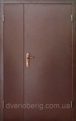 Входная металлическая дверь Лекс Колизей Дуб натуральный (панель №15) -  купить в Москве в интернет магазине \"Покупай Двери\" по цене 25 650.00 р.