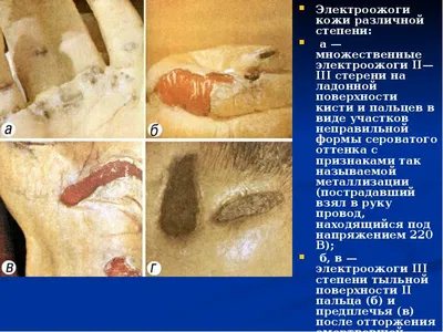 Электронная библиотека