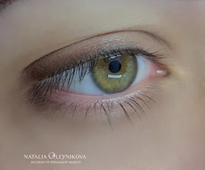 Татуаж глаз Межресничный с растушевкой 10 • Академия татуажа Натальи  Олейниковой