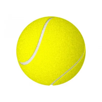 Купить мяч теннисный gamma quick kids 36 red (12 шт.) по цене 3 354 ₽ в  Москве