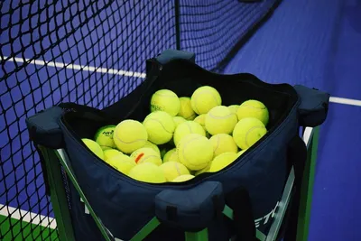 Купить мяч теннисный gamma quick kids 60 orange (12 шт.) по цене 3 414 ₽ в  Москве