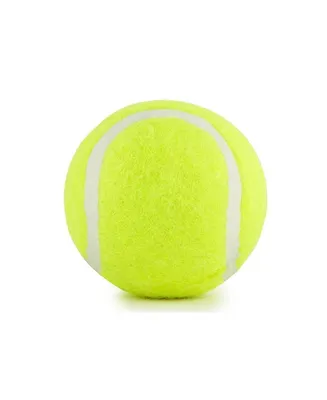 Мяч для тенниса, 1 шт. / Мяч для игры в большой теннис / Мяч для игры с  животными - купить с доставкой по выгодным ценам в интернет-магазине OZON  (263067917)