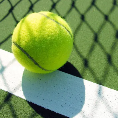 Мяч для большого тенниса Neva Sport Team All Court желтый цвет — купить за  749 руб., отзывы в интернет-магазине Спортмастер