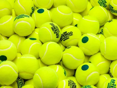 Мяч для большого тенниса Indigo (3 штуки в упаковке) IN145 – выгодная цена  – купить товар Мяч для большого тенниса Indigo (3 штуки в упаковке) IN145 в  интернет-магазине Комус