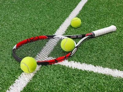 SILAPRO Набор для большого тенниса, (2 ракетки, мяч) в чехле, металл.,  пластик (132-003) купить оптом по цене 561.41 ₽ | Гала-Центр