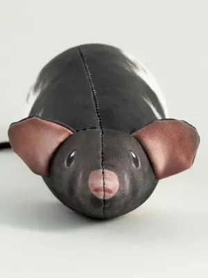 Большая плюшевая игрушка крыса (ID#1105961814), цена: 1950 ₴, купить на  Prom.ua