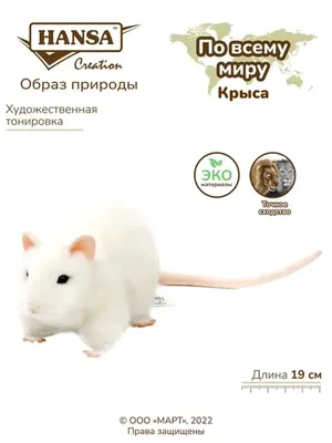 Мягкая игрушка Крыса серая (ID#1077158523), цена: 467 ₴, купить на Prom.ua