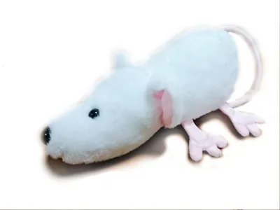 Мягкая игрушка крыса с сердечком, 19 см, серый, мех искусственный  (ID#1471248527), цена: 166 ₴, купить на Prom.ua