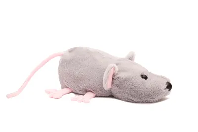Реалистичная мягкая игрушка HANSA Крыса потору 24 см купить по цене 3670 ₽  в интернет-магазине Детский мир