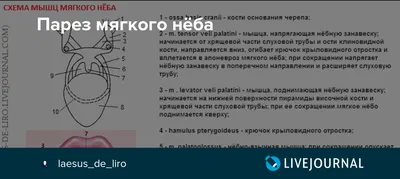 Абстрактный Цветной Пастельный Фон, Мягкое Небо С Облачным Фоном В  Пастельных Тонах Фотография, картинки, изображения и сток-фотография без  роялти. Image 86573007