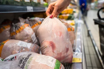 Польша наращивает производство мяса птицы и экспорт этой продукции |  Ветеринария и жизнь