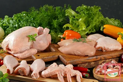 Сертификация мяса птицы. Получить сертификат на мясо птицы - ros-test.info