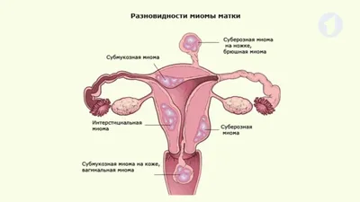 Gravita Family Clinic | Новые услуги - пищевые и ингаляционные  аллергопанели!