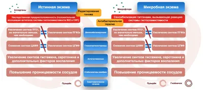 Экзема во всех ее «лицах» - KP.RU