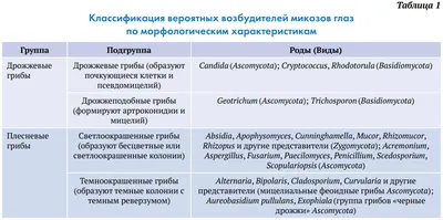 Блефаропластика нижняя (бесшовная)