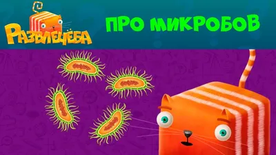 Микроб на прозрачном фоне — 3mu.ru
