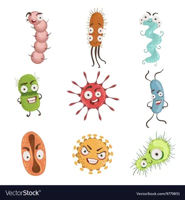 Микробы под микроскопом для детей: картинки и видео