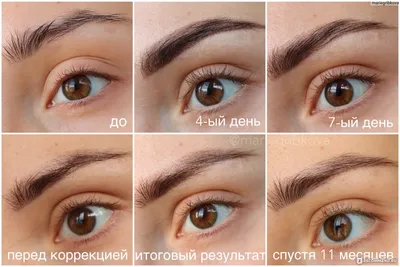 Перманентный макияж бровей (тренд 2022) - купить в Киеве | Tufishop.com.ua