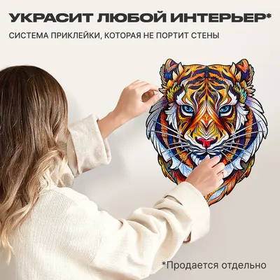 ИНОСМИ | Милый тигр пьет воду | Дзен