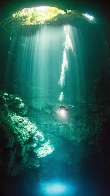 Подводный мир | Пикабу