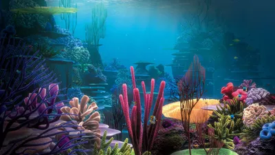Обои для рабочего стола Рыбы Подводный мир Под водой бывает всякое