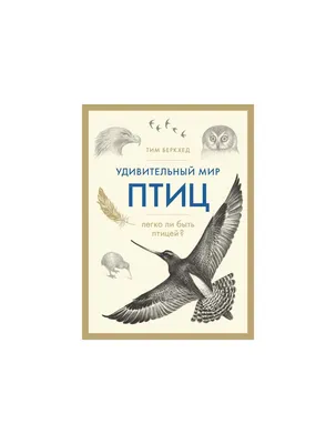 Открой для себя удивительный мир птиц» - Пинская городская центральная  библиотека