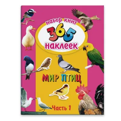 Мир позитива! — Мир птиц. | OK.RU | Beautiful birds, Colorful birds, Stork
