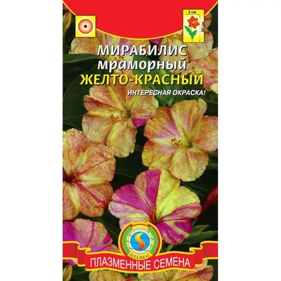Купить семена: Мирабилис Мраморный Желто-красный - цены,фото,отзывы |  Green-Club.com.ua