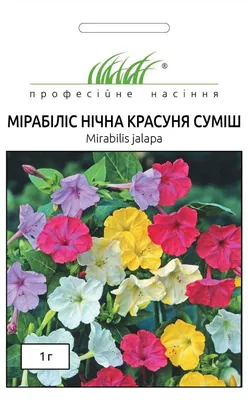 Мирабилис Ночная красавица смесь 1 г. - купить по лучшей цене в Одессе от  компании \"💙АГРОЛИНИЯ™💛\" - 680210360